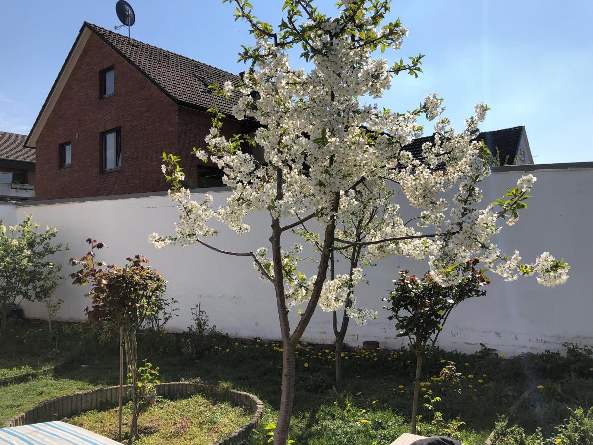Kleve-Kellen Apartment Клеве Екстериор снимка