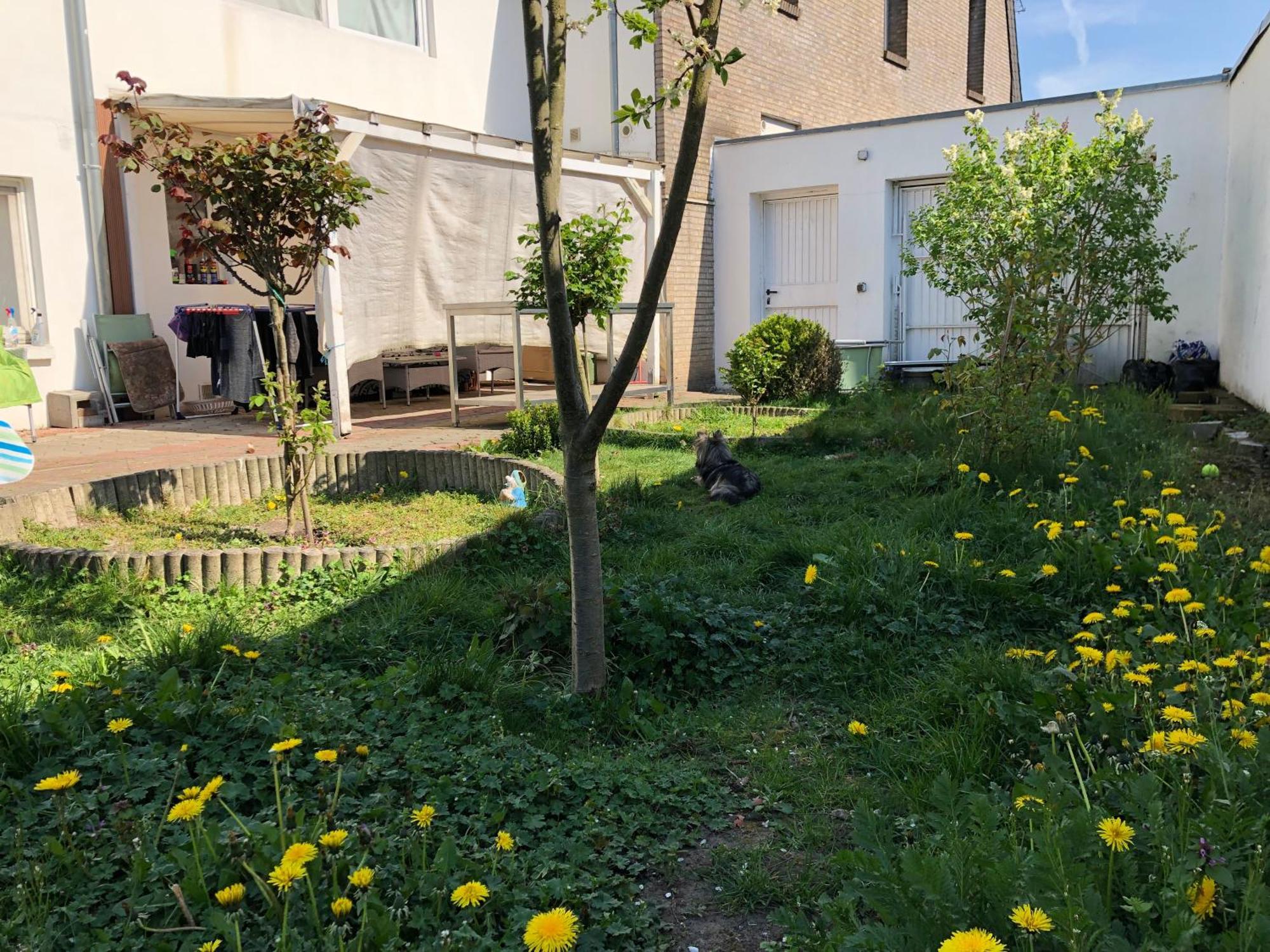 Kleve-Kellen Apartment Клеве Екстериор снимка